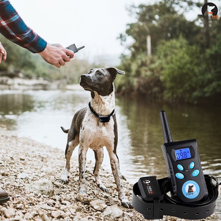 Collare antiabbaio automatico Sistema di controllo dell'addestramento degli animali domestici + Collare in pelle PU con scosse elettriche per cani, PD520 Collare antiabbaio automatico Sistema di controllo dell'addestramento degli animali domestici + Collare in pelle PU con scosse elettriche per cani, PD520